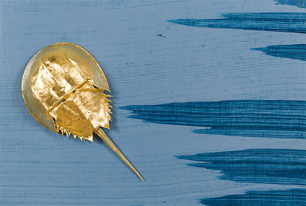 Announcements 51 May APB Newsletter 2