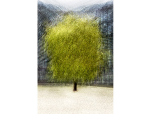 LA Art Show Just Five Months Away…