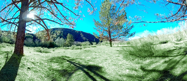 Environmental