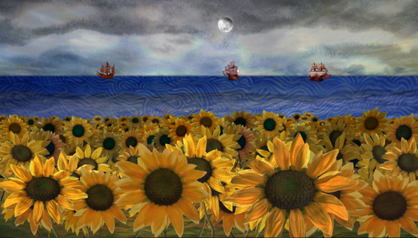 girasoles3 SC